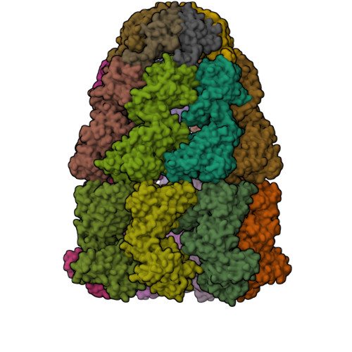 RCSB PDB - 8WUX: Cryo-EM structure of H. thermophilus GroEL-GroES ...