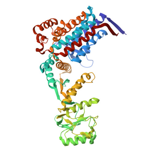 RCSB PDB - 8WUX: Cryo-EM structure of H. thermophilus GroEL-GroES ...