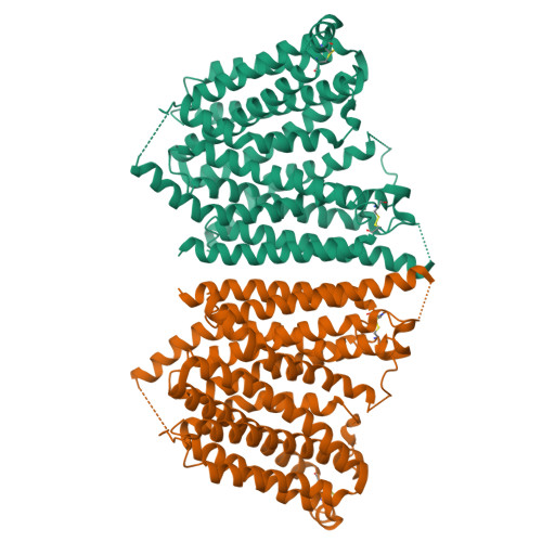 PDB 8WX2