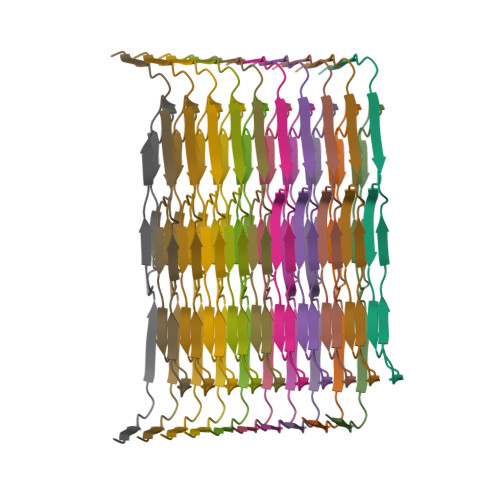 RCSB PDB - 8WZX: Cryo-EM structure of the hamster prion 23-144 fibril ...