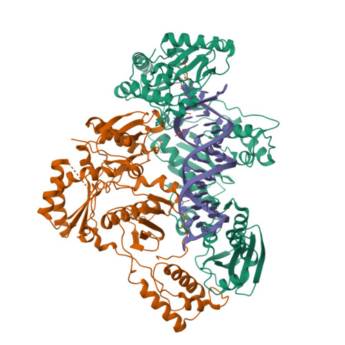RCSB PDB - 8X1Z: HIV-1 reverse transcriptase mutant Q151M