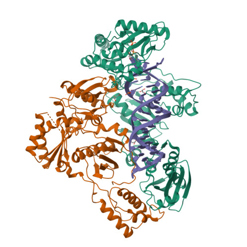 RCSB PDB - 8X22: HIV-1 reverse transcriptase mutant Q151M/Y115F