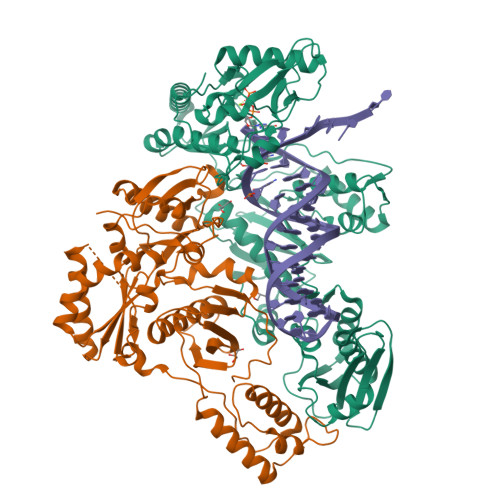 RCSB PDB - 8X22: HIV-1 reverse transcriptase mutant Q151M/Y115F