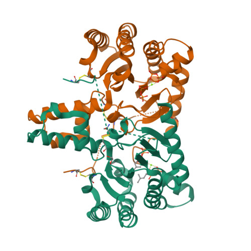 RCSB PDB - 8X35: Neryl diphosphate synthase from Solanum