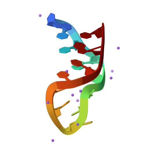 RCSB PDB - 8X4F: Solution NMR Structure Of A DNA Hairpin Formed By Pure ...