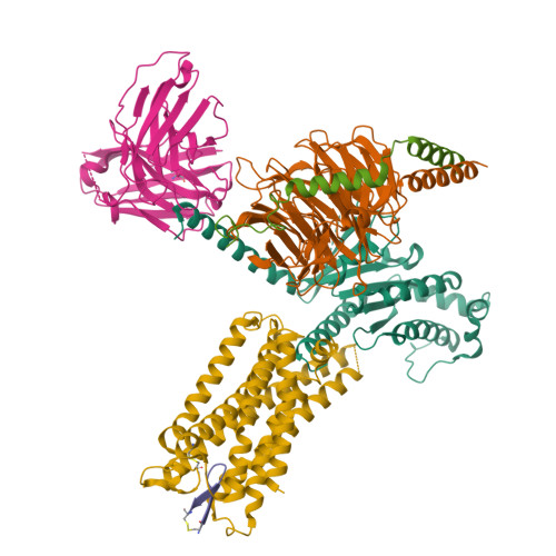 RCSB PDB - 8X8L: Cryo-EM structure of the cortistatin 17-bound ...