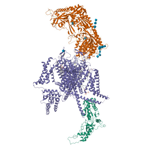 RCSB PDB - 8X93: P/Q type calcium channel in complex with omega ...