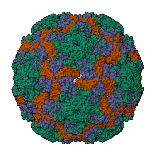 RCSB PDB - 8X99: Cryo-EM structure of coxsackievirus A16 A