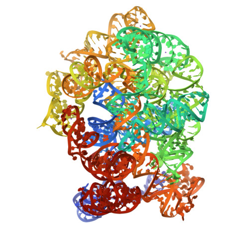 RCSB PDB - 8X9Q: Cte-A695U-branching,Mg,active