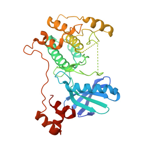 Xfl Structure Example File RCSB PDB - 8XFL: The Crystal Structure of MARK4 from Biortus.