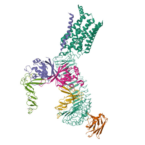 PDB 8XFP