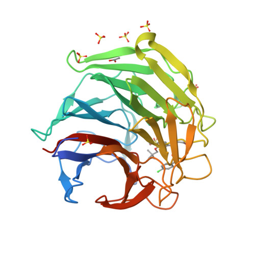 RCSB PDB - 8XGK: Optimization Efforts for Identification of Novel ...