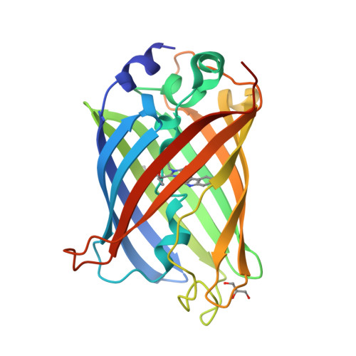 RCSB PDB - 8XH0: Monoclinic crystal structure of green fluorescent ...