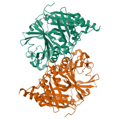 Rcsb Pdb Xhj Crystal Structure Of Athppd Hba Complex