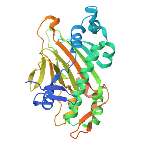 RCSB PDB - 8XHP: The apo structure of SsBcmC