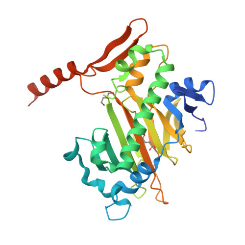 RCSB PDB - 8XHT: The apo structure of PaBcmG