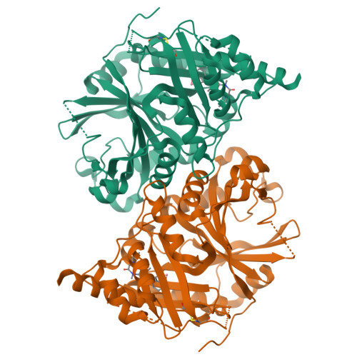 RCSB PDB - 8XII: Crystal structure of AtHPPD-YH23011 complex