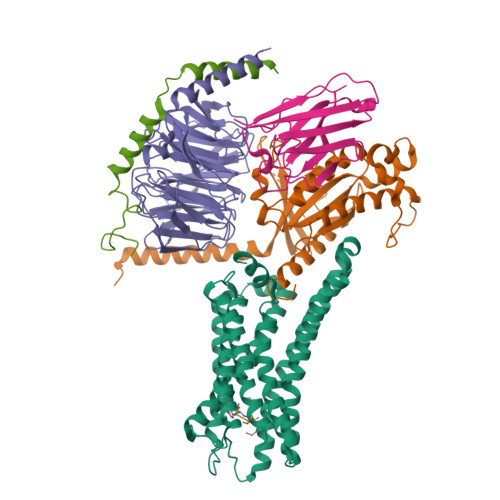 PDB 8XIQ
