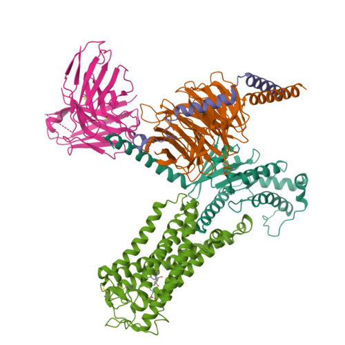 PDB 8XJN
