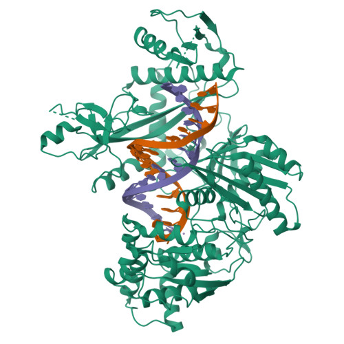 Rcsb Pdb Xjw Structure Of The Argonaute Protein From Kurthia Massiliensis In Complex With