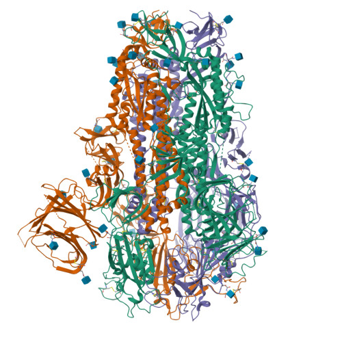 RCSB PDB - 8XMG: Cryo-EM structure of SARS-CoV-2 Omicron HV.1 spike ...