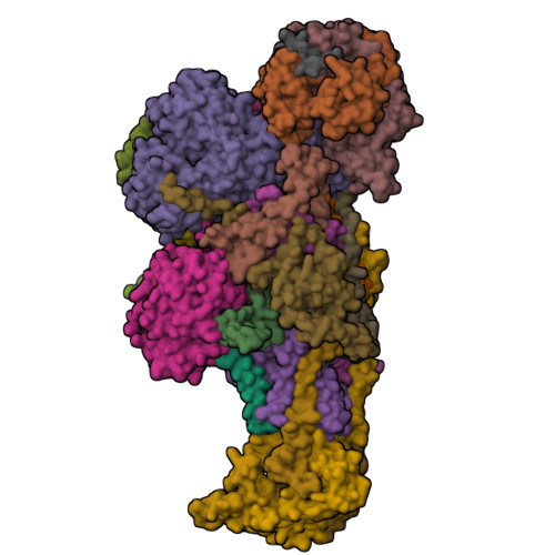 RCSB PDB - 8XNM: Respiratory complex Peripheral Arm of CI, close form B ...