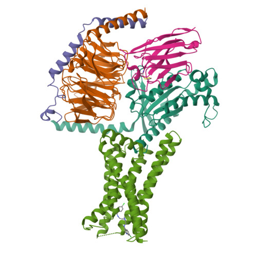 G-protein coupled estrogen receptor 1 structure