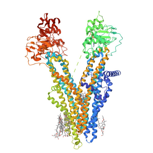 RCSB PDB - 8XOM: Cryo-EM structure of human ABCC4 in complex with ANP ...