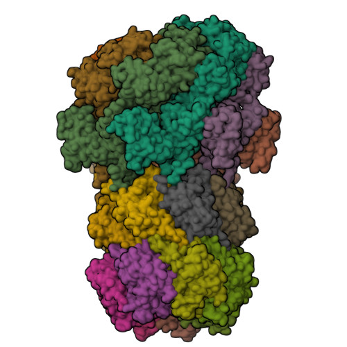 RCSB PDB - 8XON: Cryo-EM structure of the ClpC1:ClpP1P2 degradation ...