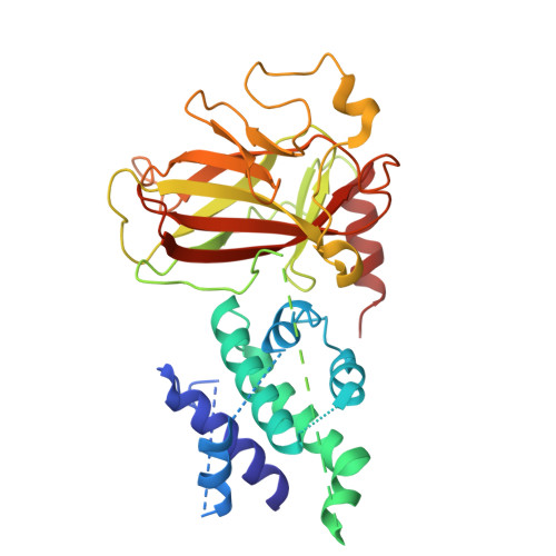 RCSB PDB - 8XP5: The Crystal Structure of p53/BCL-xL fusion complex ...