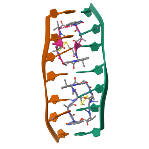 RCSB PDB - 8XPB: Crystal structure of d(ACGCCGT/ACGGCGT) in complex ...