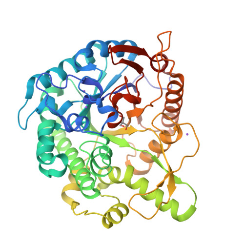 RCSB PDB - 8XPD: Crystal structure of Tris-bound TsaBgl (DATA II)