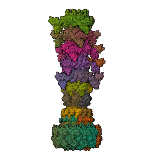 RCSB PDB - 8XPM: Mature virion portal of phage lambda with DNA