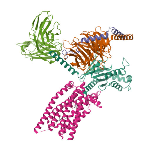 RCSB PDB - 8XQP: Structure of human class T GPCR TAS2R14-Gustducin