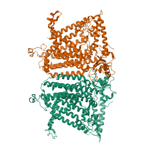 RCSB PDB - 8XS0: Cryo-EM structure of OSCA3.1-1.1ver(Y367N-G454S-Y458I ...