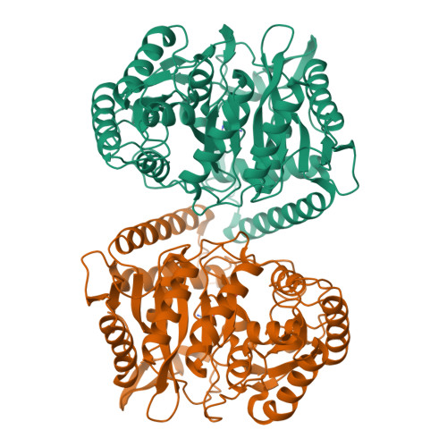 glutathione deficiency and weight gain Glutathione deficiency induces epigenetic alterations of vitamin D metabolism genes in the livers of high-fat diet-fed obese mice glutathione deficiency and weight gain Glutathione deficiency induces epigenetic alterations of vitamin D metabolism genes in the livers of high-fat diet-fed obese mice