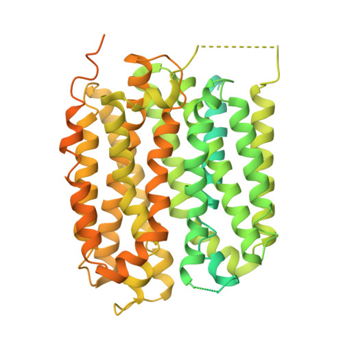 Rcsb Pdb 8xtx Structure Of Human Vacht In An Apo Conformation Rcsb Pdb 8xtx Structure Of Human Vacht In An Apo Conformation