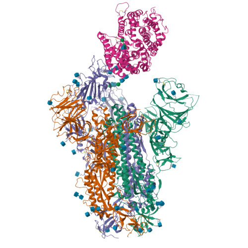 skdbページ RCSB PDB - 8XUZ: Structure of SARS-CoV-2 BA.2.86 spike