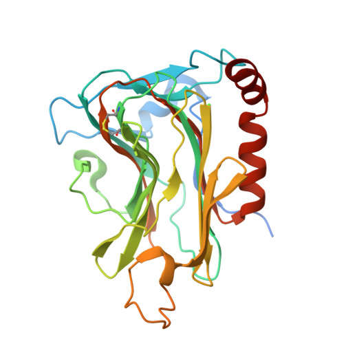 RCSB PDB - 8XVF: Globular domain of Trichinella spiralis calreticulin