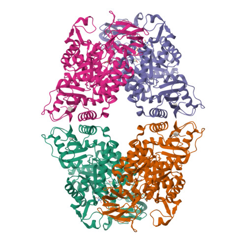 RCSB PDB - 8XW9: Crystal structure of Streptococcus pneumoniae