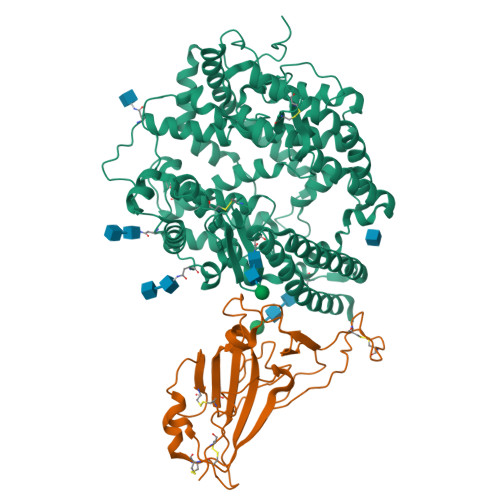 RCSB PDB - 8XY9: Crystal structure of SARS-CoV-2 BF.7 RBD and human ...