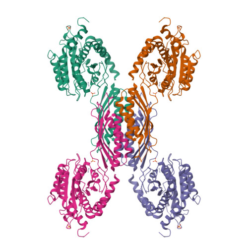 RCSB PDB - 8XZC: Crystal structure of human cytosolic beta-alanyl ...