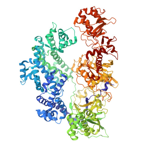 RCSB PDB - 8Y04: Crystal structure of LbCas12a in complex with crRNA ...