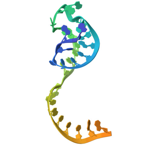 RCSB PDB - 8Y04: Crystal structure of LbCas12a in complex with crRNA ...