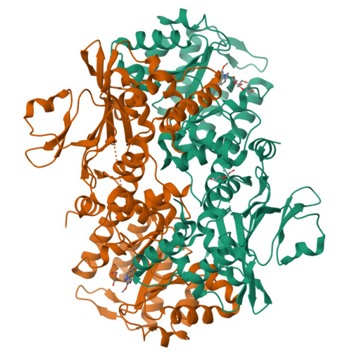 RCSB PDB - 8Y55: Crystal Structure of NAMPT-PF403