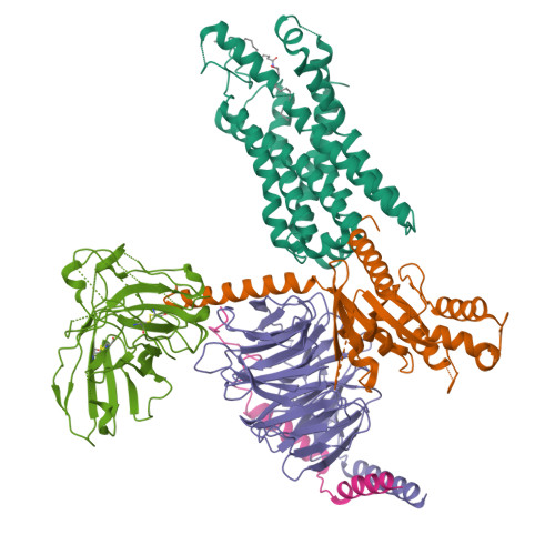 RCSB PDB - 8Y63: Cryo-EM structure of the C20:0 ceramide-bound FPR2-Gi ...
