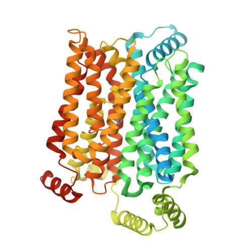 Solute carrier family 2, facilitated glucose transporter member 9 structure