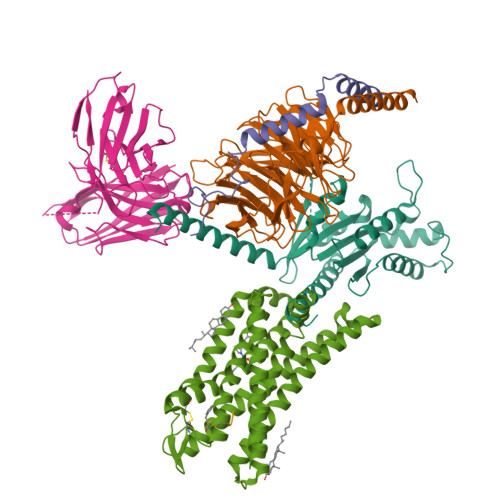 RCSB PDB - 8Y72: positive allosteric modulator(BMS986122