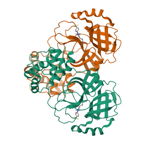 RCSB PDB - 8Y7T: Crystal structure of SARS-CoV-2 main protease in ...