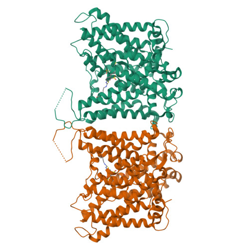 PDB 8Y85